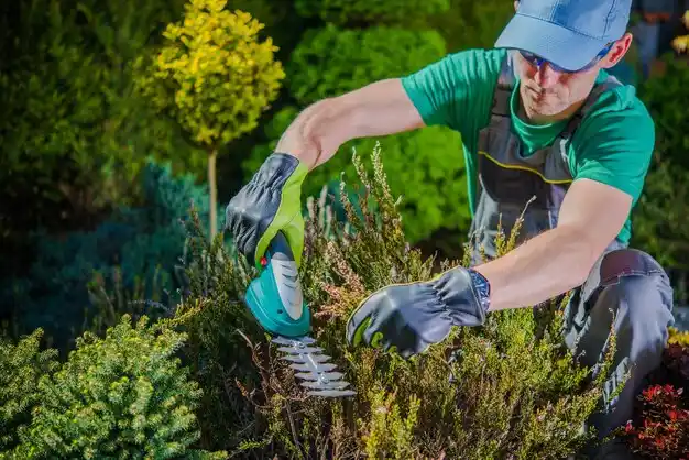 landscaping services Highland Heights